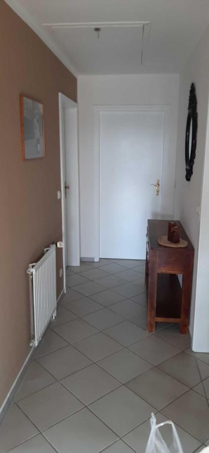 Ferienwohnung Bluetenblick Bachenbrock Ngoại thất bức ảnh